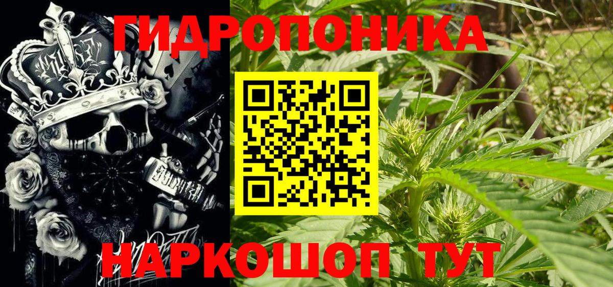 Бошки марихуана конопля Осинники